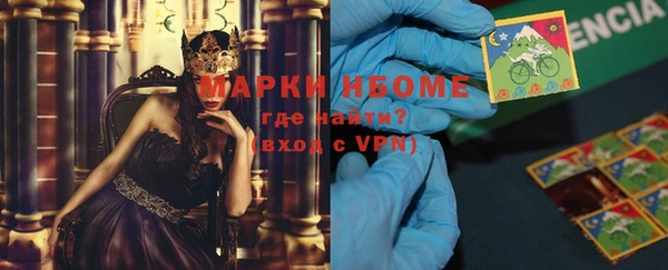 стаф Аркадак