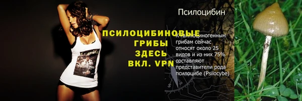 стаф Аркадак