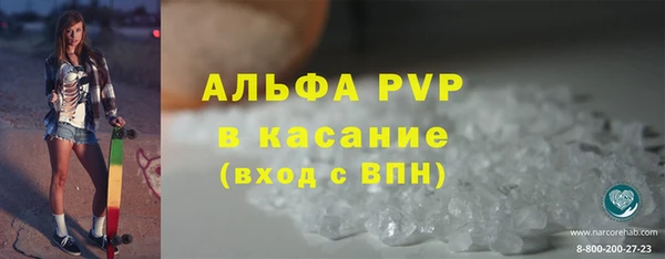 стаф Аркадак