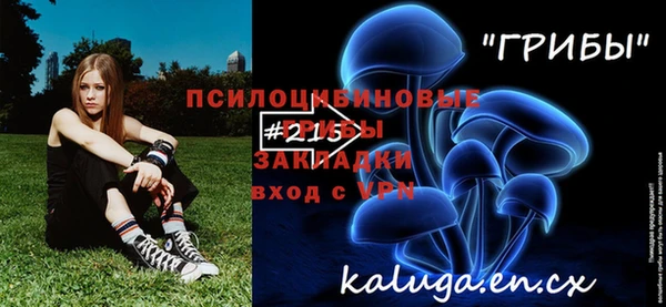 не бодяженный Арсеньев