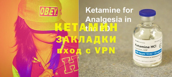 стаф Аркадак
