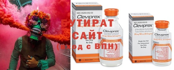 стаф Аркадак