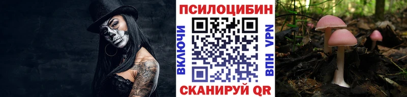 Псилоцибиновые грибы Psilocybe  продажа наркотиков  shop клад  Североуральск 